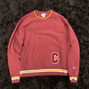 Vintage champion sweatshirt
